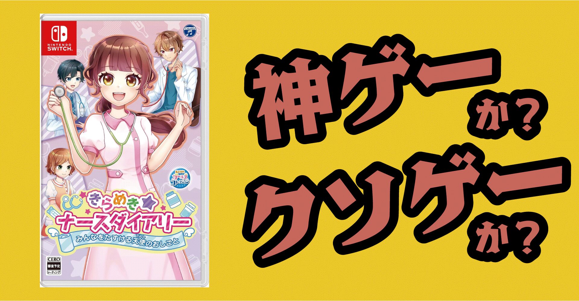 きらめきナースダイアリーは神ゲーか？クソゲーか？感想・レビュー【Switch】