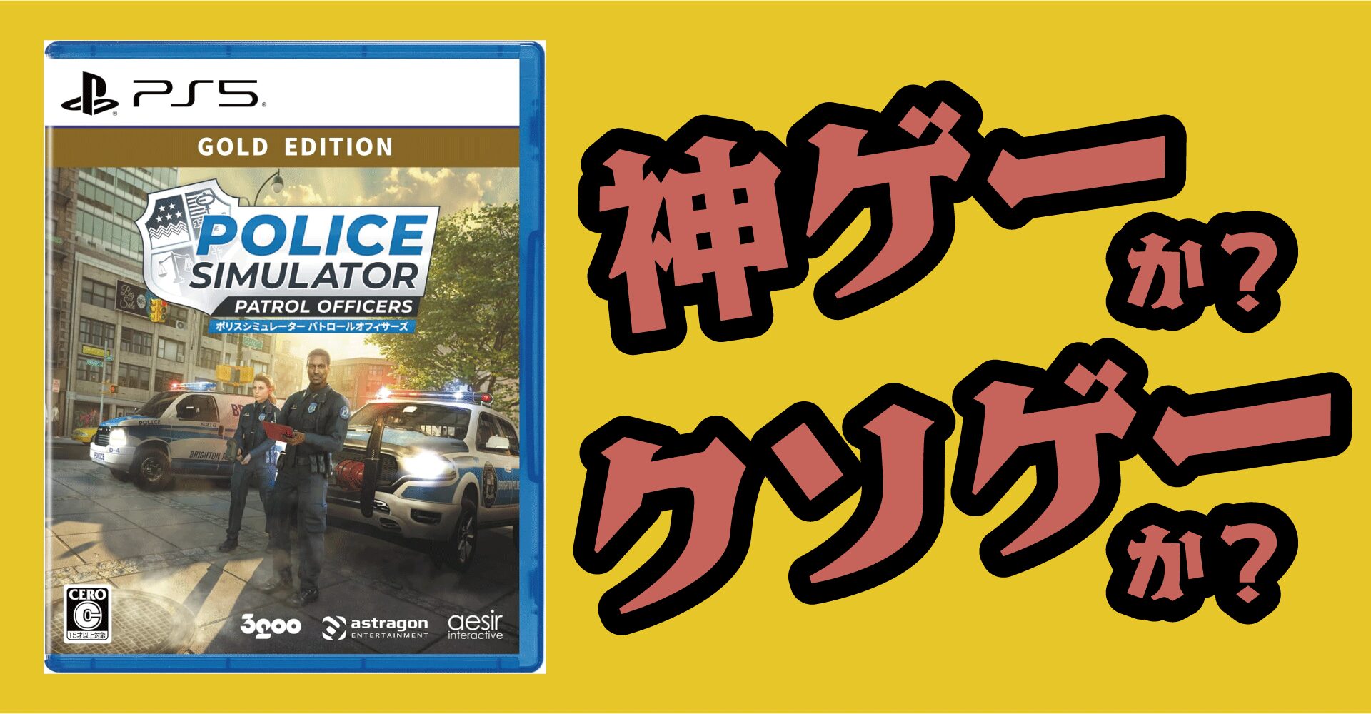 ポリスシミュレーターは神ゲーか？クソゲーか？感想・レビュー【PS5・PS4・PC】