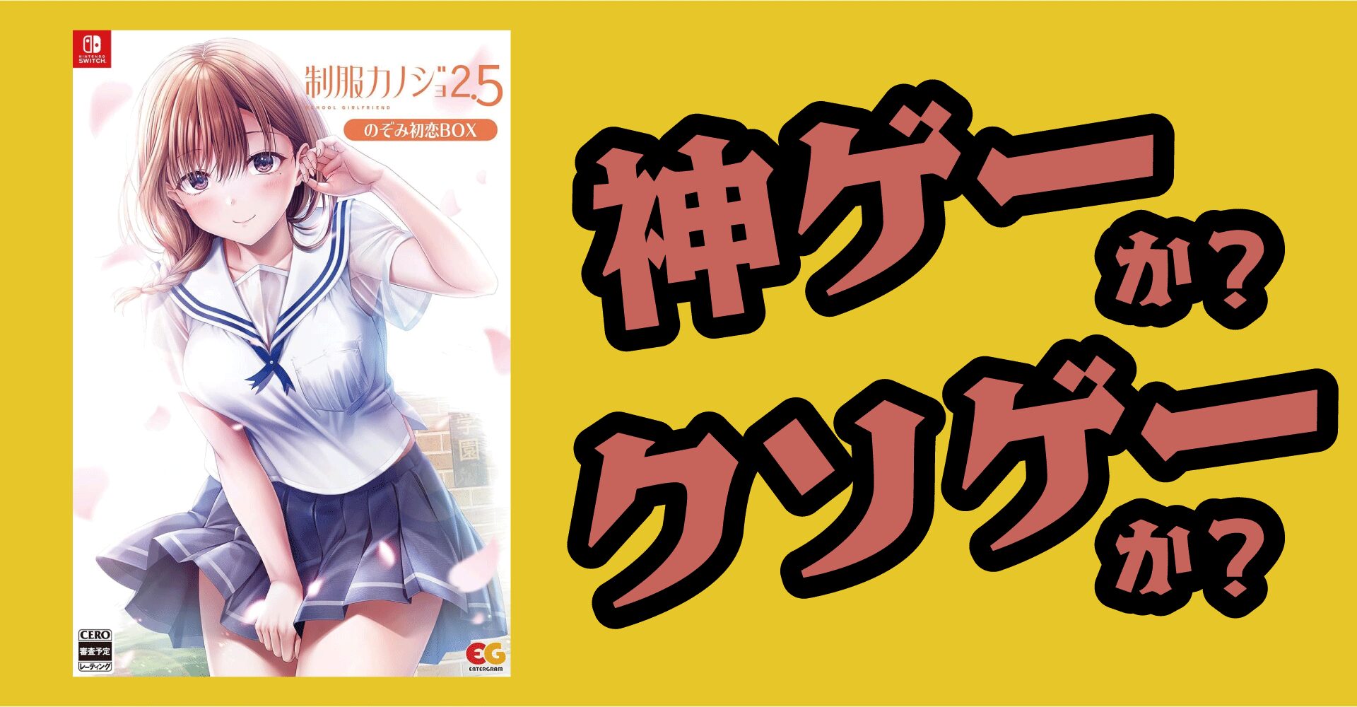 制服カノジョ2.5は神ゲーか？クソゲーか？感想・レビュー【Switch・PC】