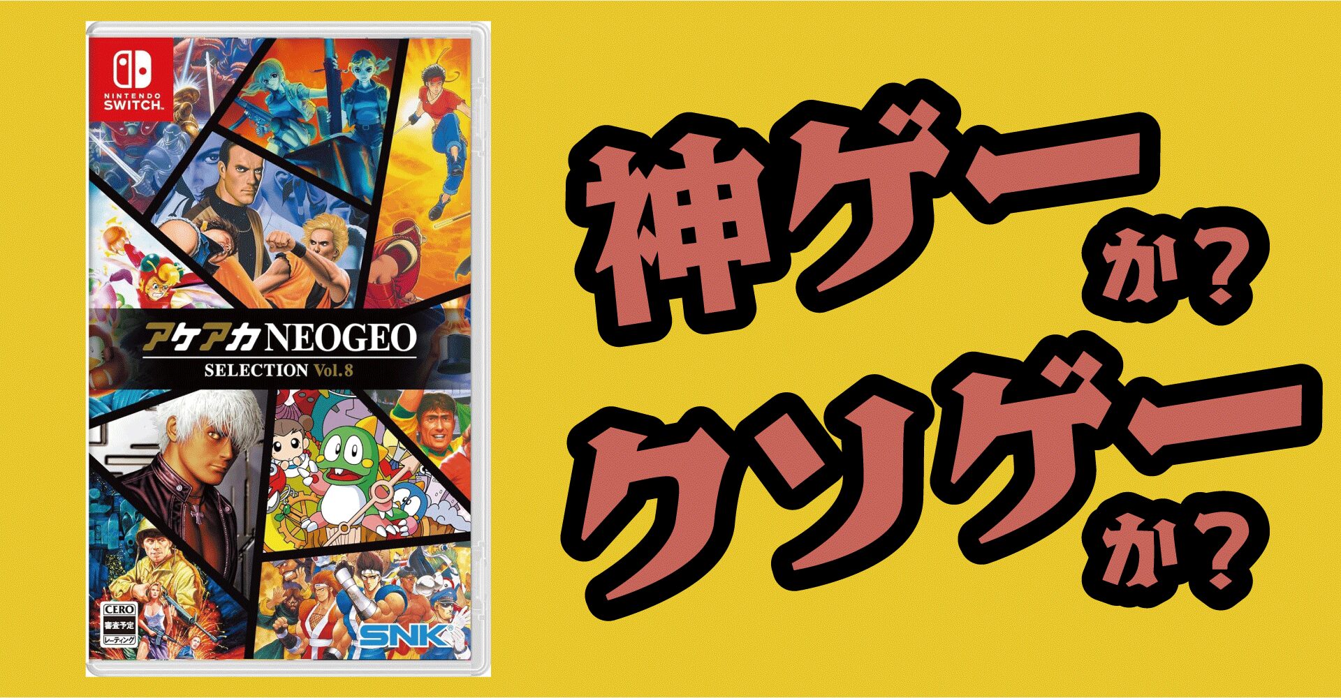 アケアカNEOGEO セレクション Vol.8は神ゲーか？クソゲーか？感想・レビュー・評価【Switch】