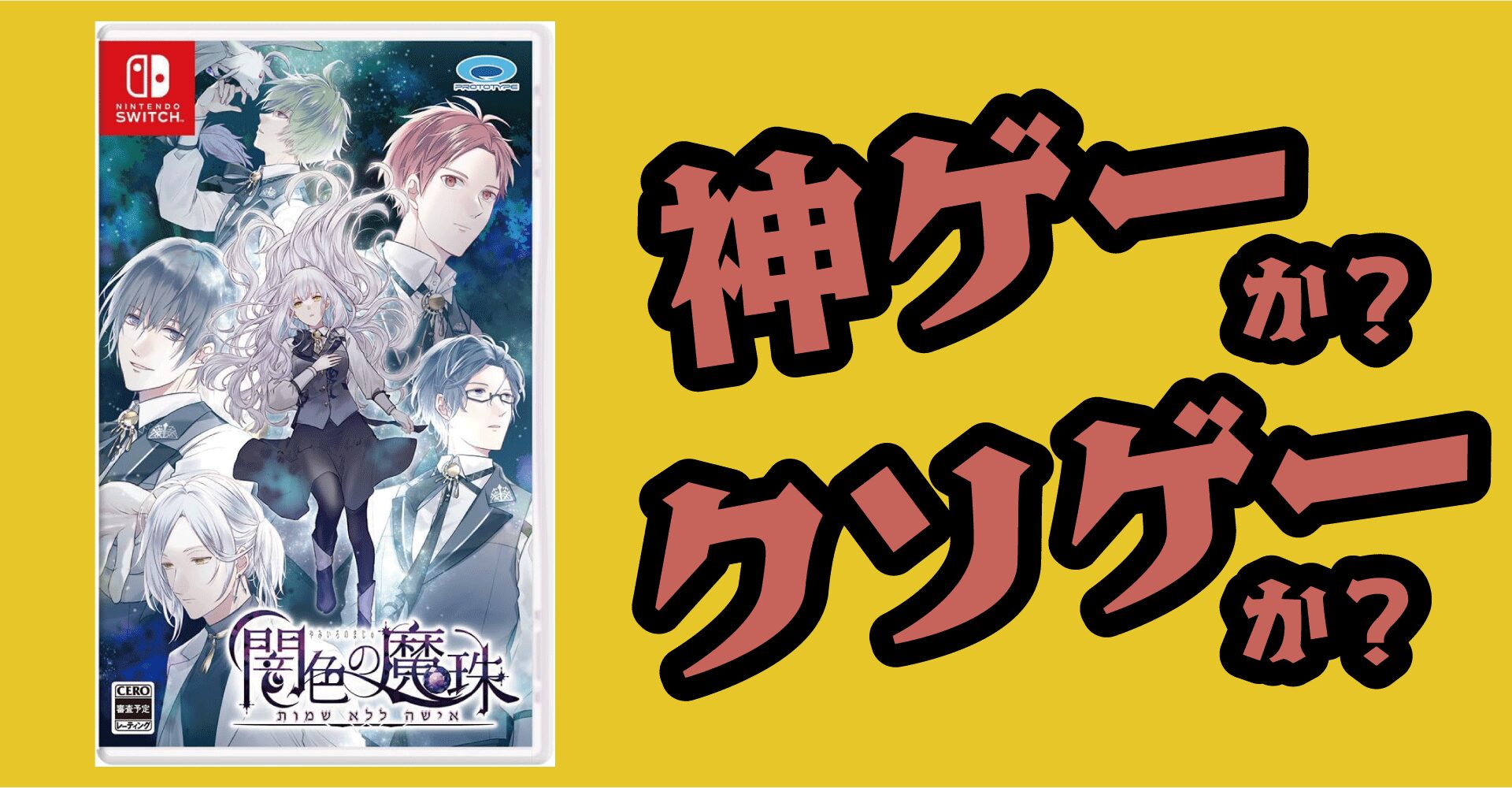 闇色の魔珠は神ゲーか？クソゲーか？感想・レビュー・評価【PC・Switch】