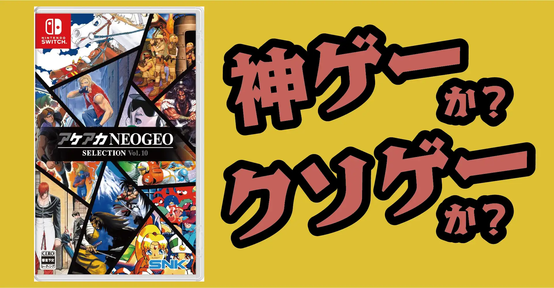 アケアカNEOGEO Vol.10は神ゲーか？クソゲーか？感想・レビュー・評価【Switch】