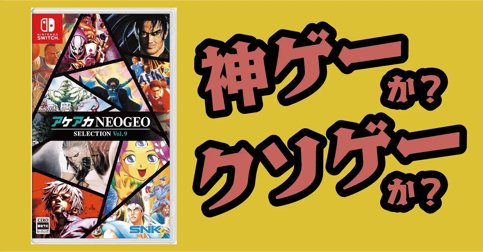 アケアカNEOGEO セレクション Vol.9は神ゲーか？クソゲーか？感想・レビュー・評価【Switch】