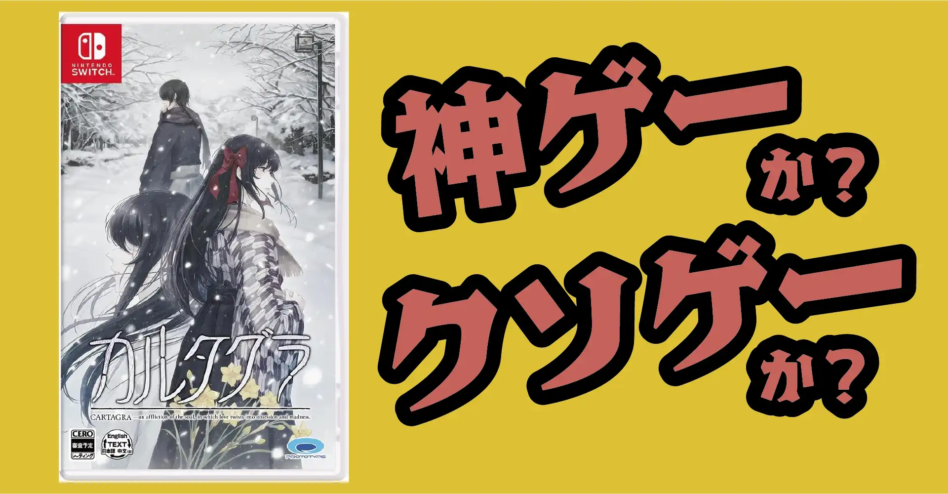 カルタグラは神ゲーか？クソゲーか？感想・レビュー・評価【Switch】