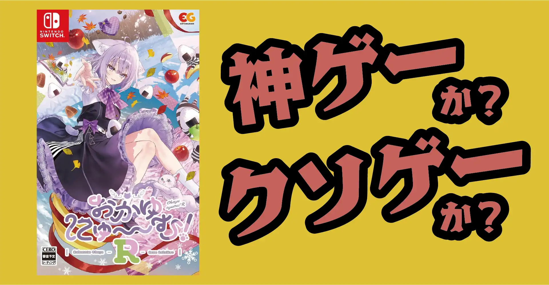 おかゆにゅ～～む！Rは神ゲーか？クソゲーか？感想・レビュー・評価【Switch・PS4・PC】