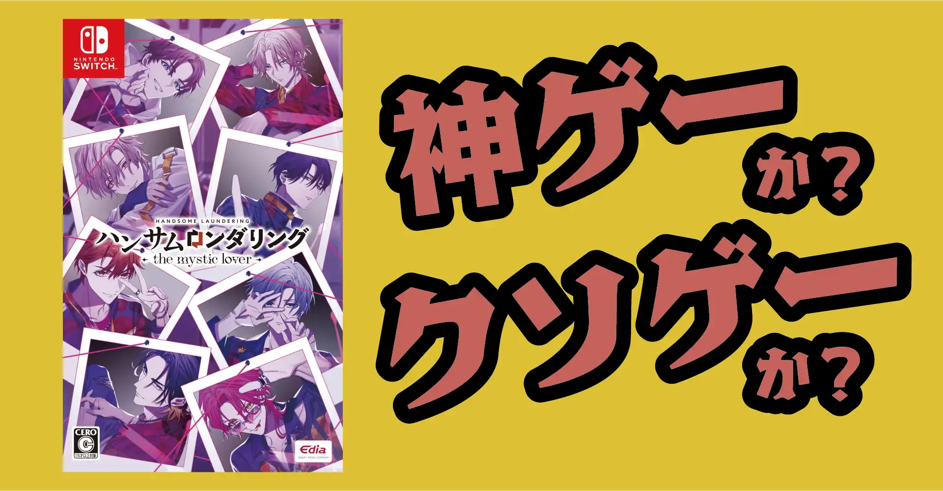 ハンサムロンダリング - the mystic lover - は神ゲーか？クソゲーか？感想・レビュー・評価【Switch】