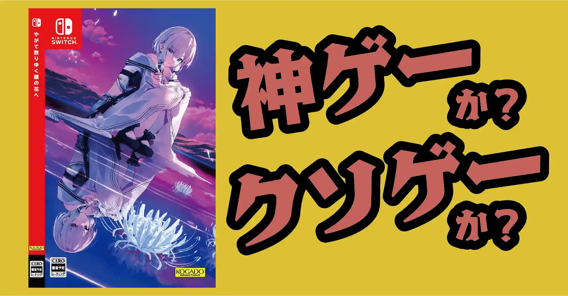 やがて散りゆく鏡の花へは神ゲーか？クソゲーか？感想・レビュー・評価【Switch】